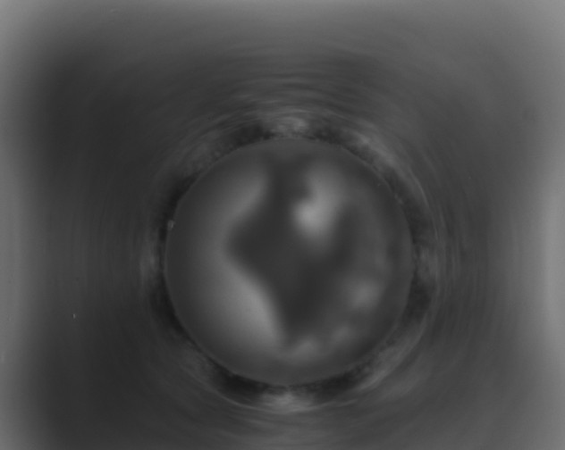 X0000089730561200706281551