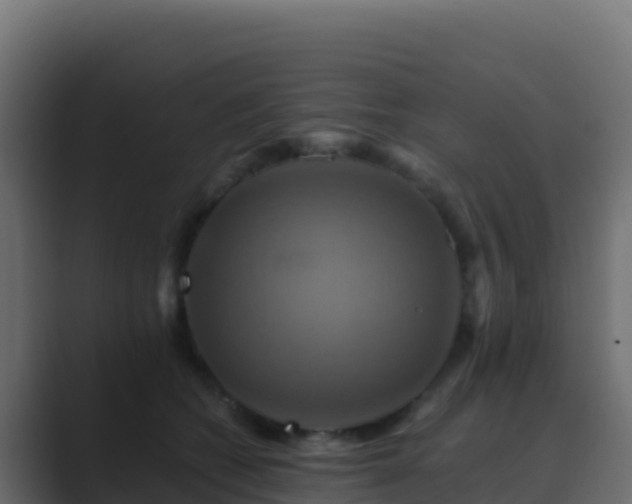 X0000089730562200706281551