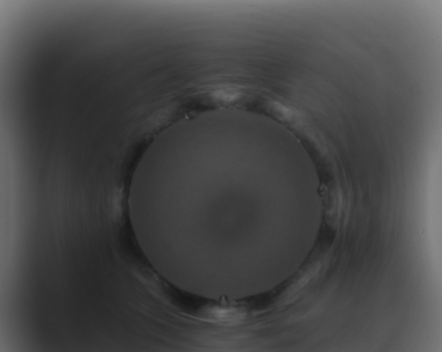 X0000089730563200706281551