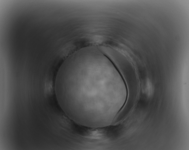 X0000089730564200706281551