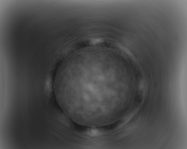 X0000089730565200706281551