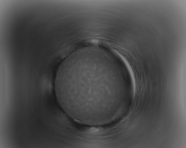 X0000089730566200706281551