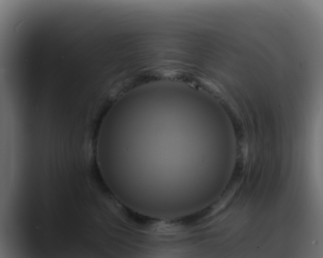 X0000089730568200706281551