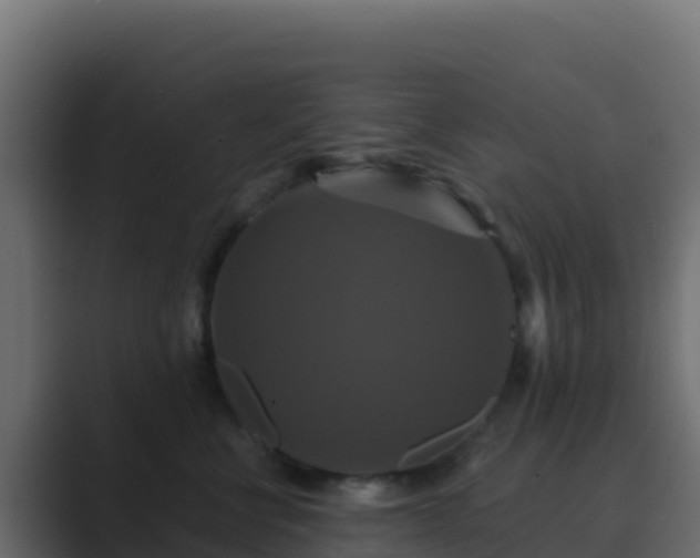 X0000089730570200706281551