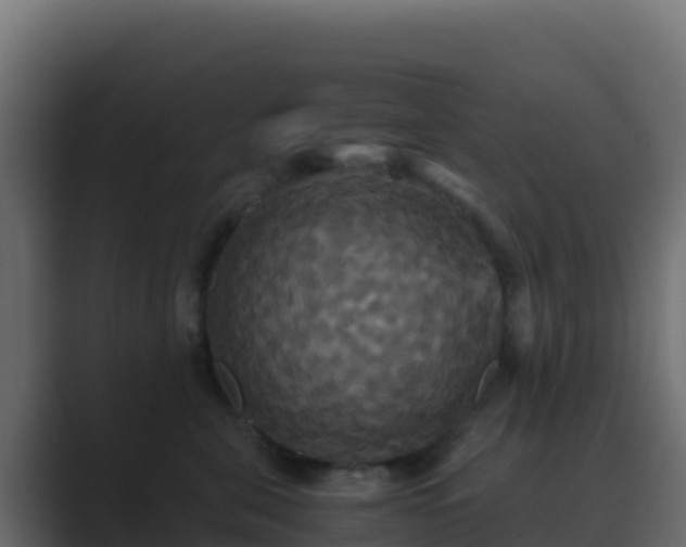 X0000089730571200706281551