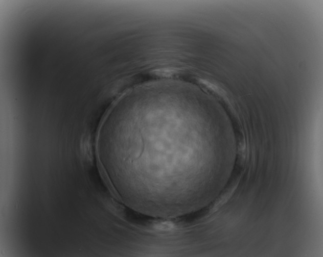 X0000089730572200706281551