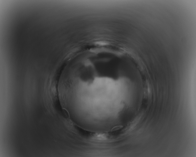 X0000089730573200706281551