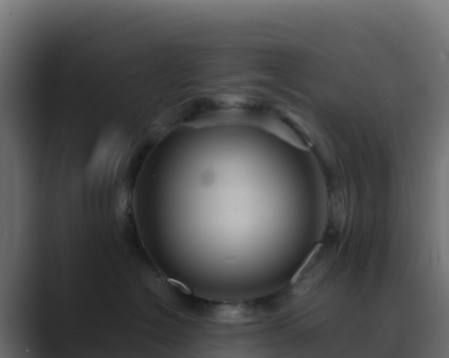 X0000089730574200706281551