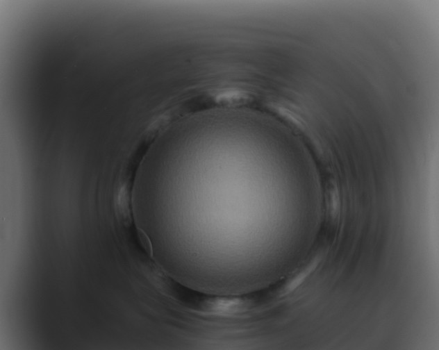 X0000089730575200706281551