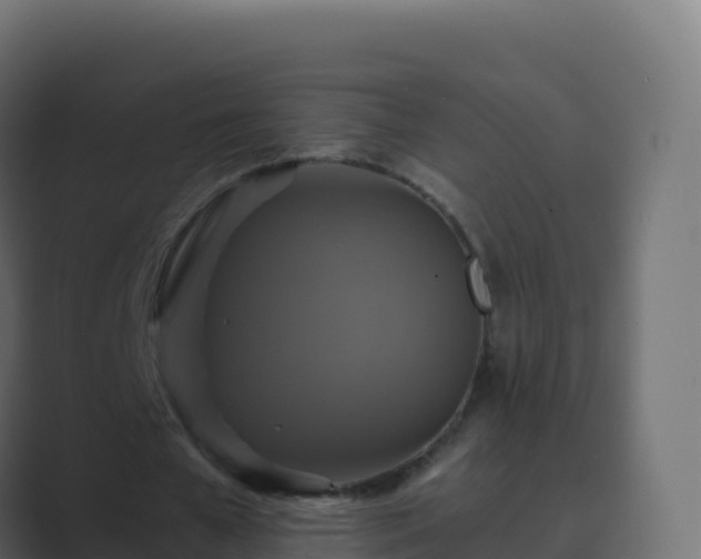 X0000089730577200706281551