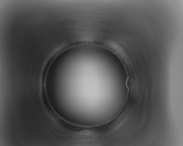 X0000089730578200706281551