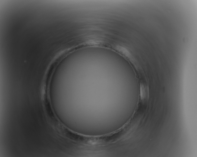 X0000089730579200706281551