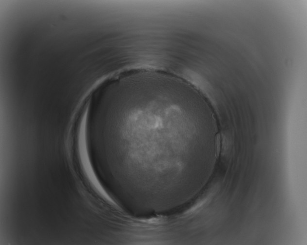 X0000089730580200706281551