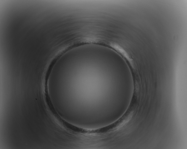 X0000089730581200706281551