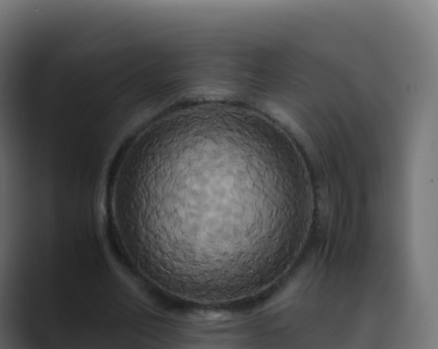 X0000089730582200706281551