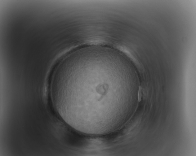 X0000089730583200706281551