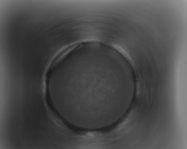 X0000089730584200706281551