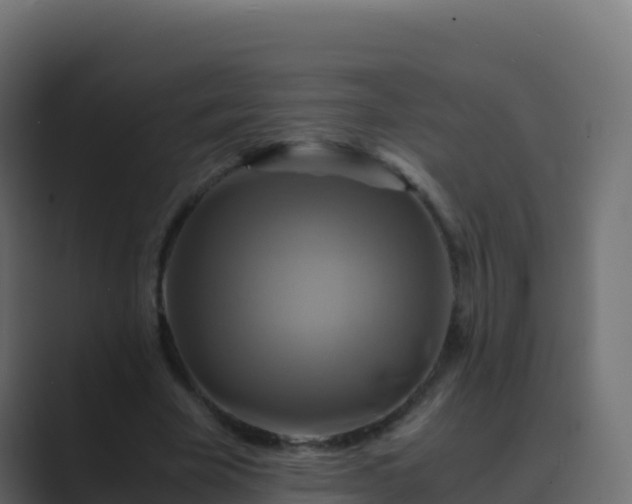 X0000089730585200706281551