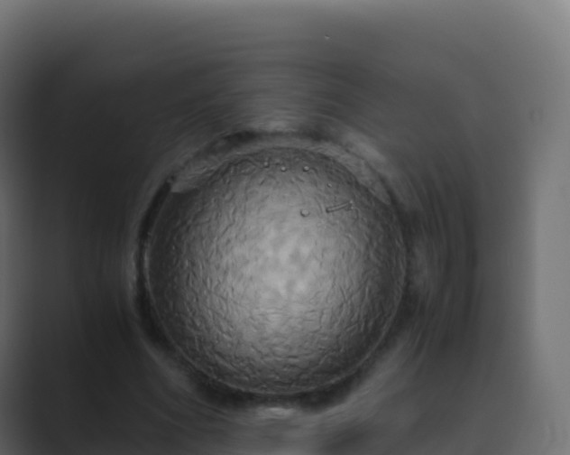 X0000089730586200706281551