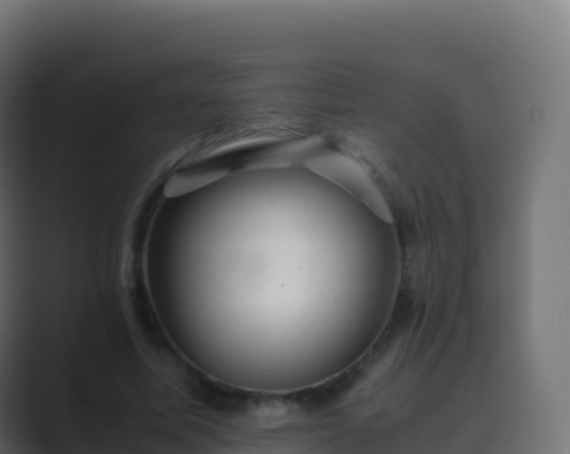 X0000089730587200706281551