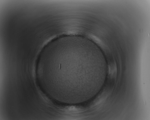X0000089730588200706281551