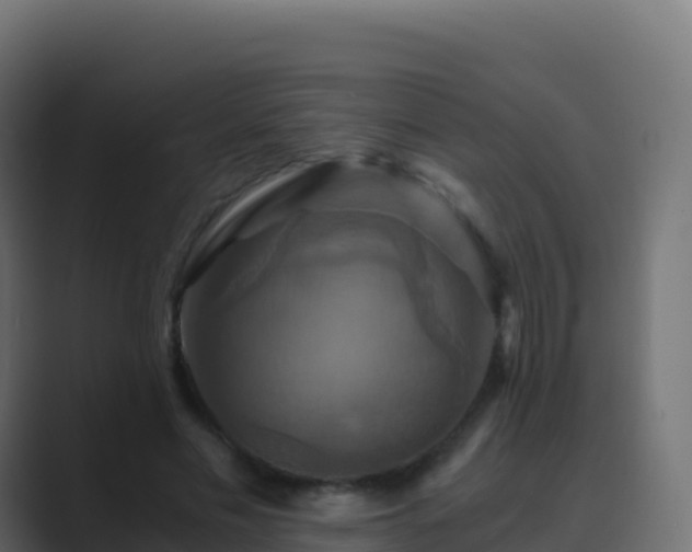 X0000089730589200706281551
