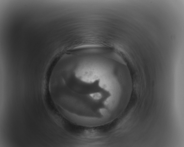 X0000089730591200706281551