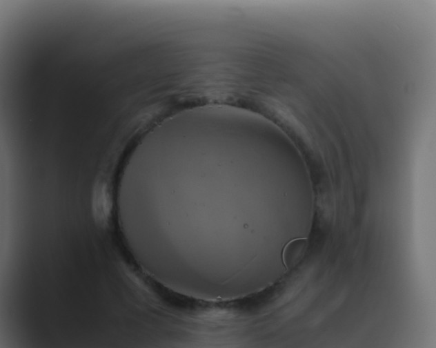 X0000089730593200706281551