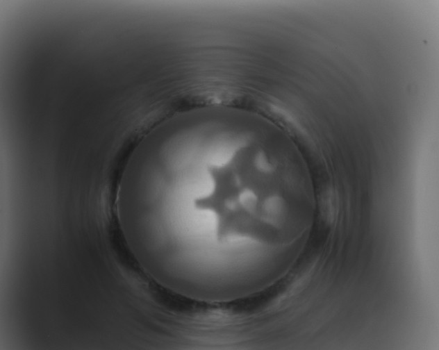 X0000089730594200706281551