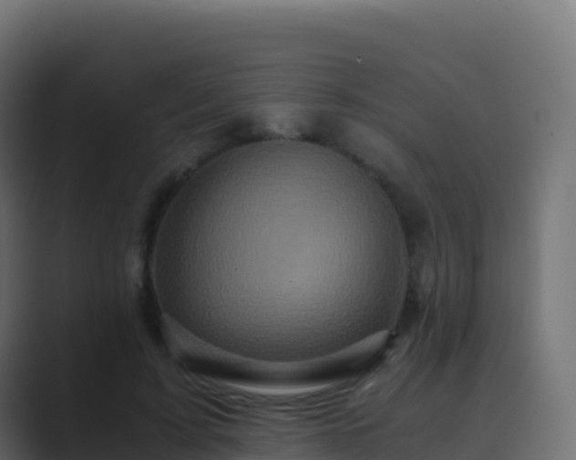 X0000089730595200706281551
