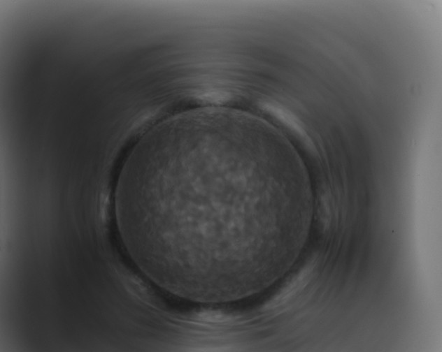 X0000089730596200706281550
