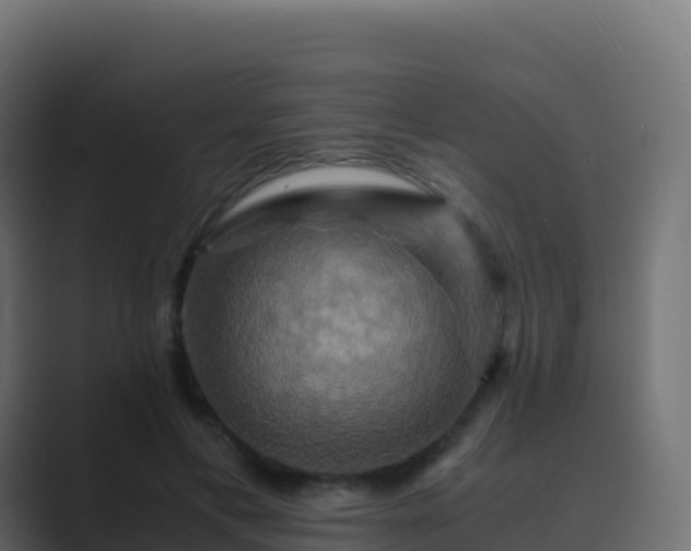 X0000089730597200706281550