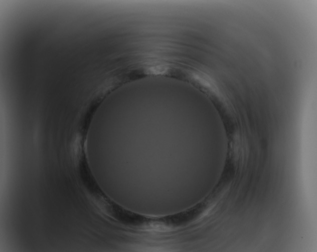 X0000089730598200706281550