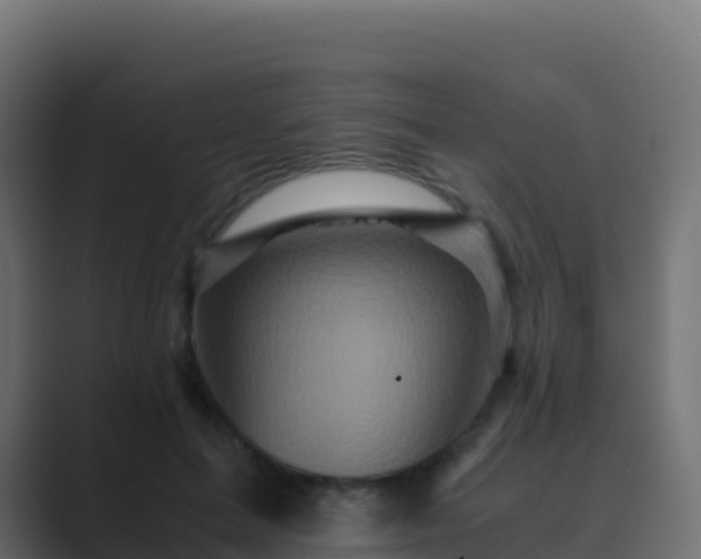 X0000089730599200706281550