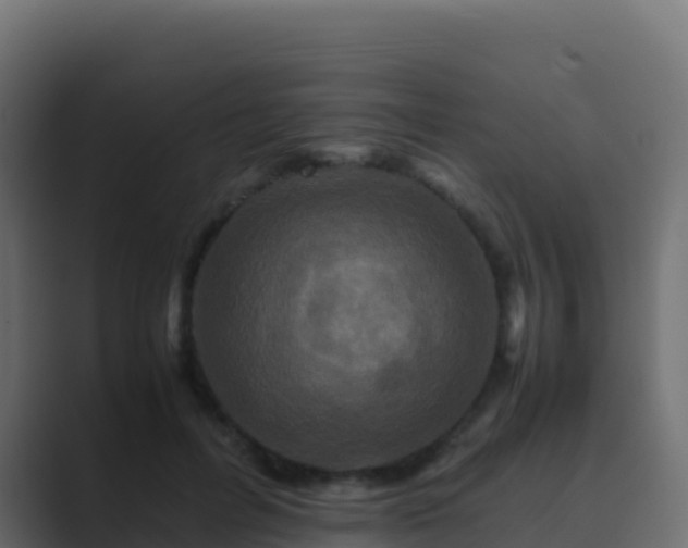 X0000089730600200706281550