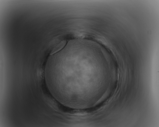 X0000089730601200706281550