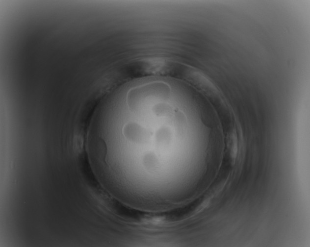 X0000089730602200706281550