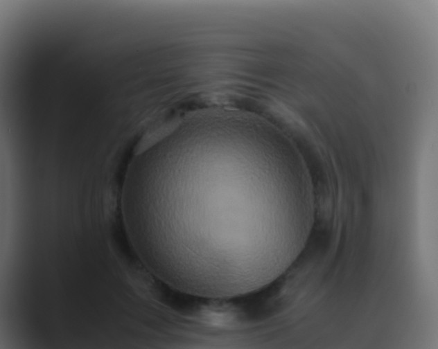 X0000089730603200706281550