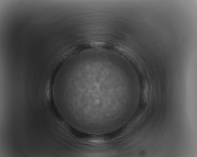 X0000089730604200706281550