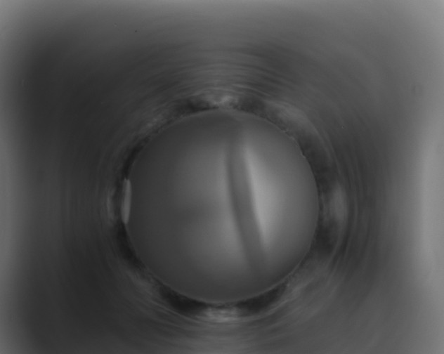 X0000089730606200706281550