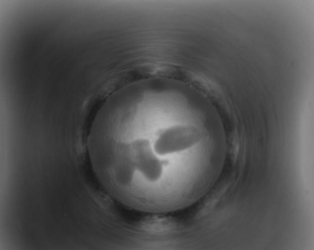 X0000089730607200706281550