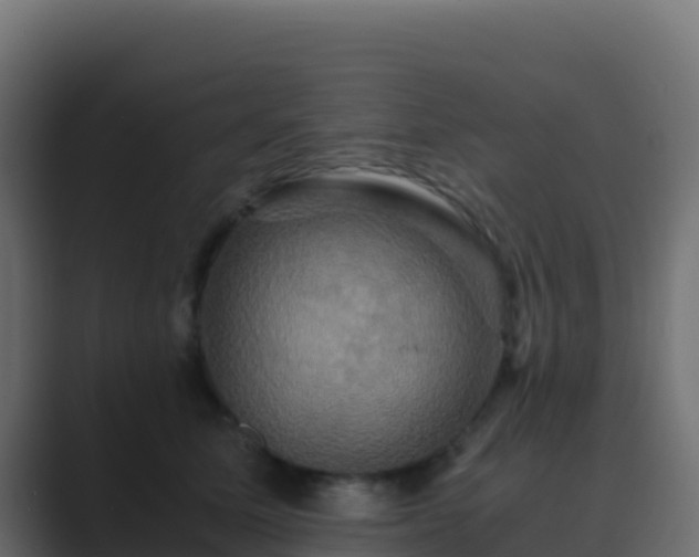 X0000089730611200706281550