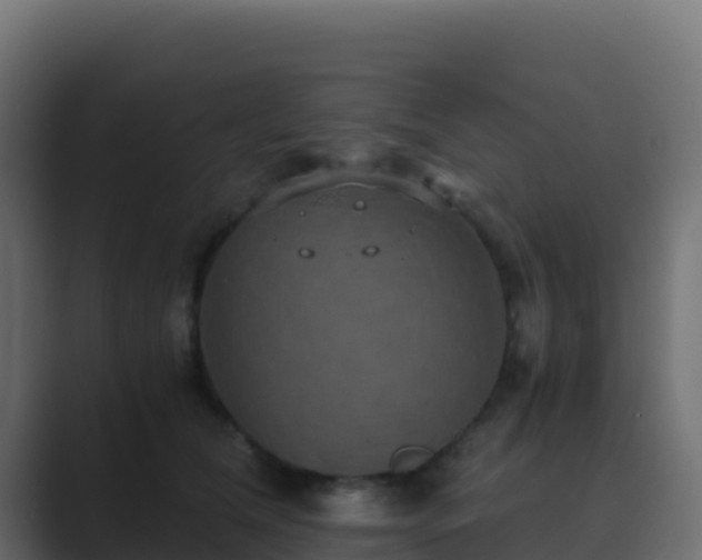 X0000089730612200706281550