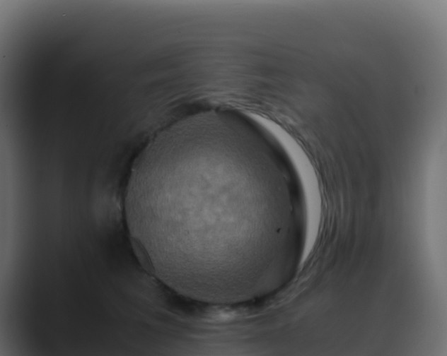 X0000089730613200706281550