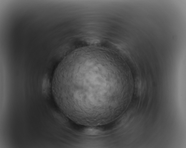 X0000089730614200706281550