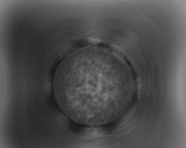 X0000089730615200706281550