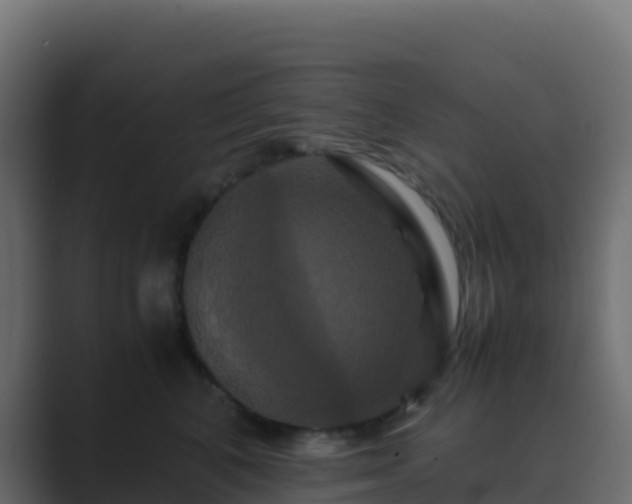 X0000089730616200706281550