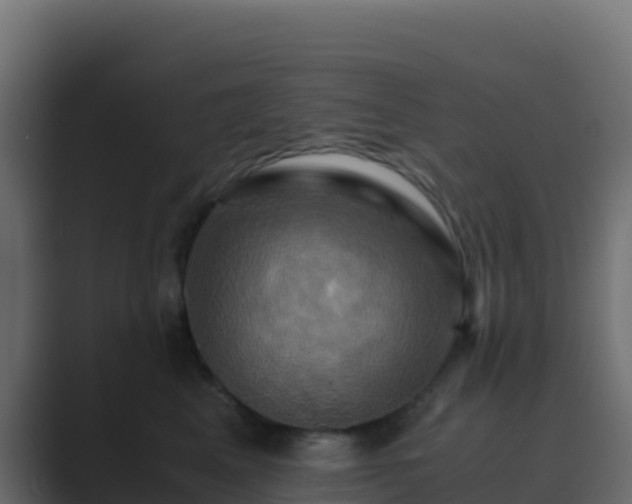 X0000089730617200706281550