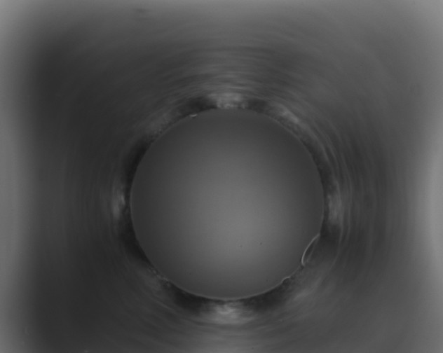 X0000089730618200706281550