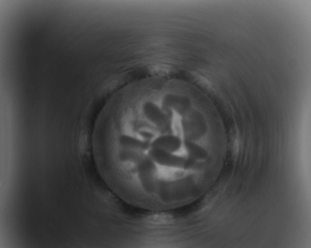 X0000089730619200706281550